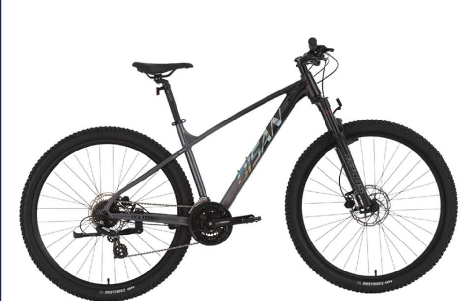 BİSAN BOLD 8.3 26 JANT HD FREN 24 VİTES DAĞ BİSİKLETİ 2026