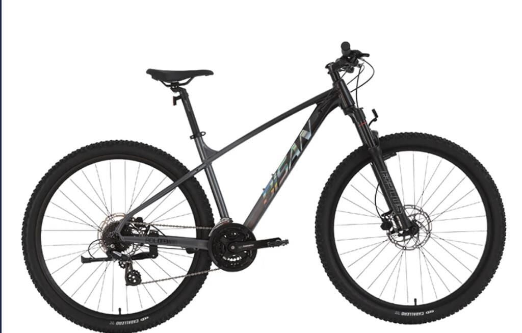 BİSAN BOLD 8.3 29 JANT HD FREN 24 VİTES DAĞ BİSİKLETİ 2026 SİYAH/GRİ